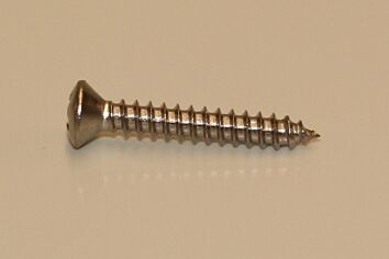Oval Head Screws